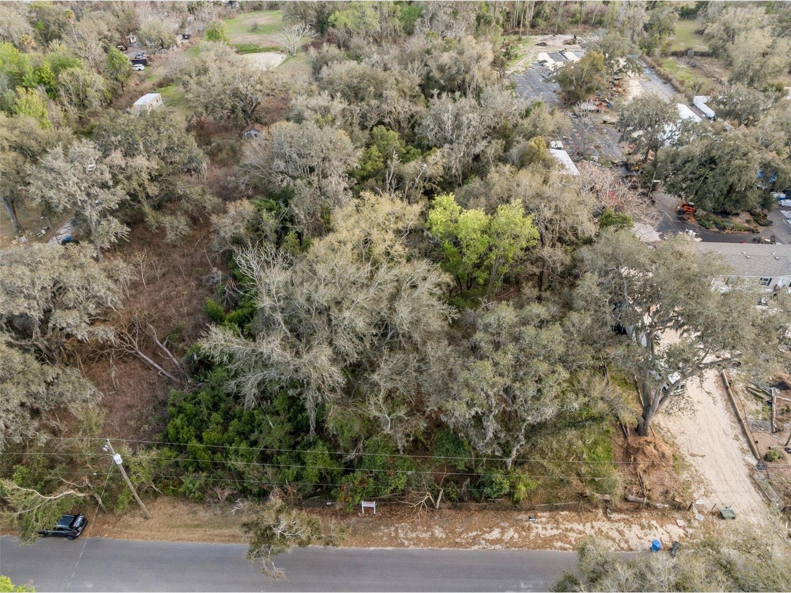 11119 Bessie Dix Road Seffner FL 33584 O6381164 image1