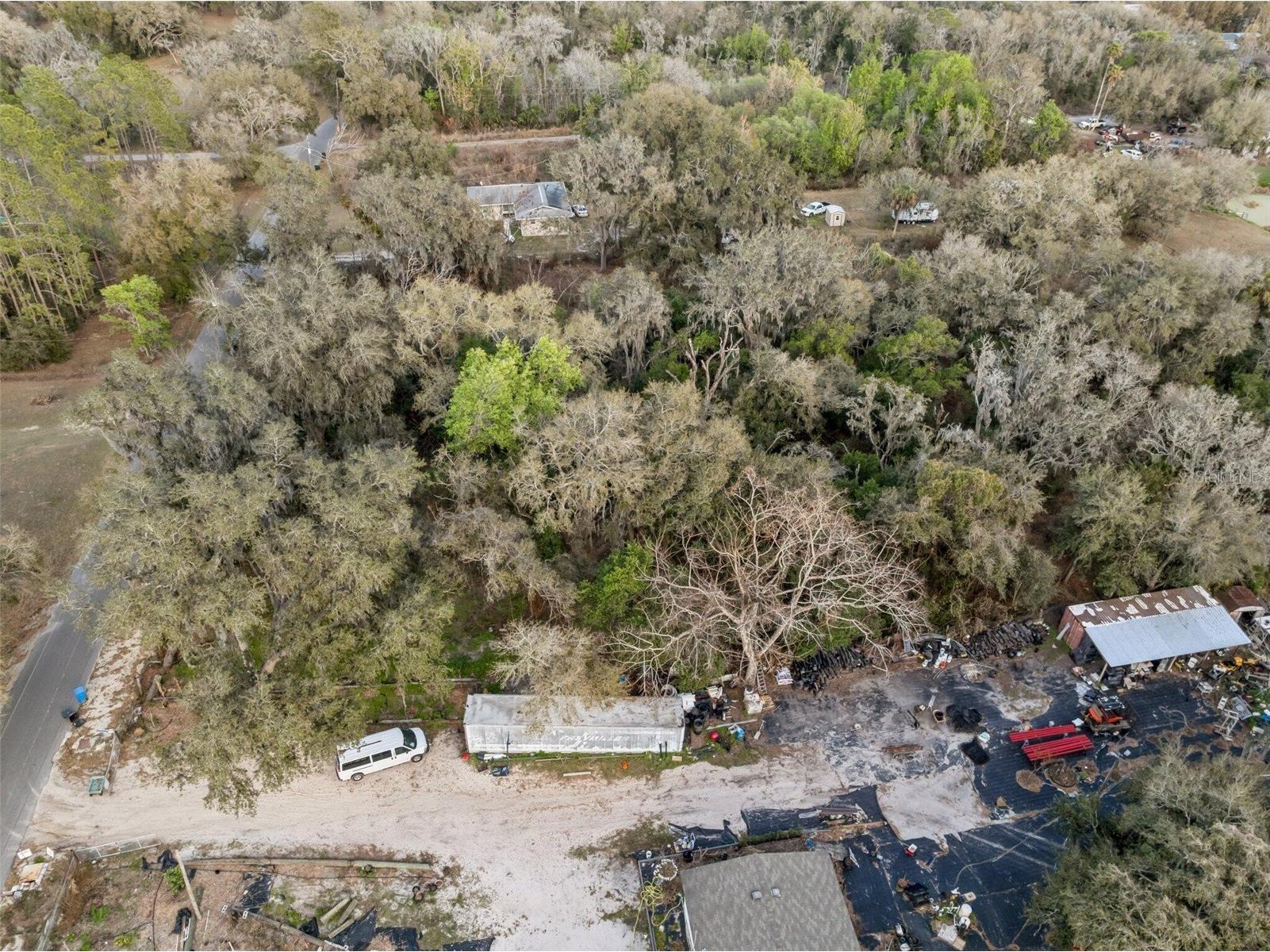 11119 Bessie Dix Road Seffner FL 33584 O6381164 image10