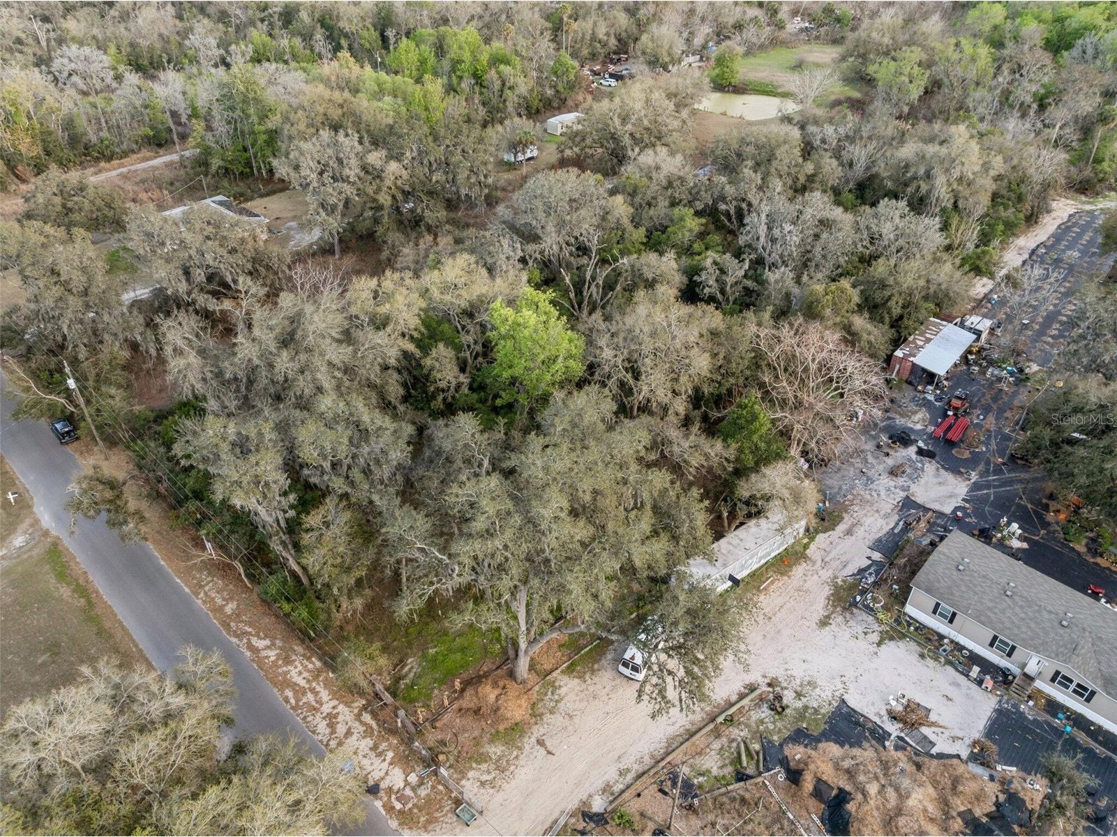 11119 Bessie Dix Road Seffner FL 33584 O6381164 image11