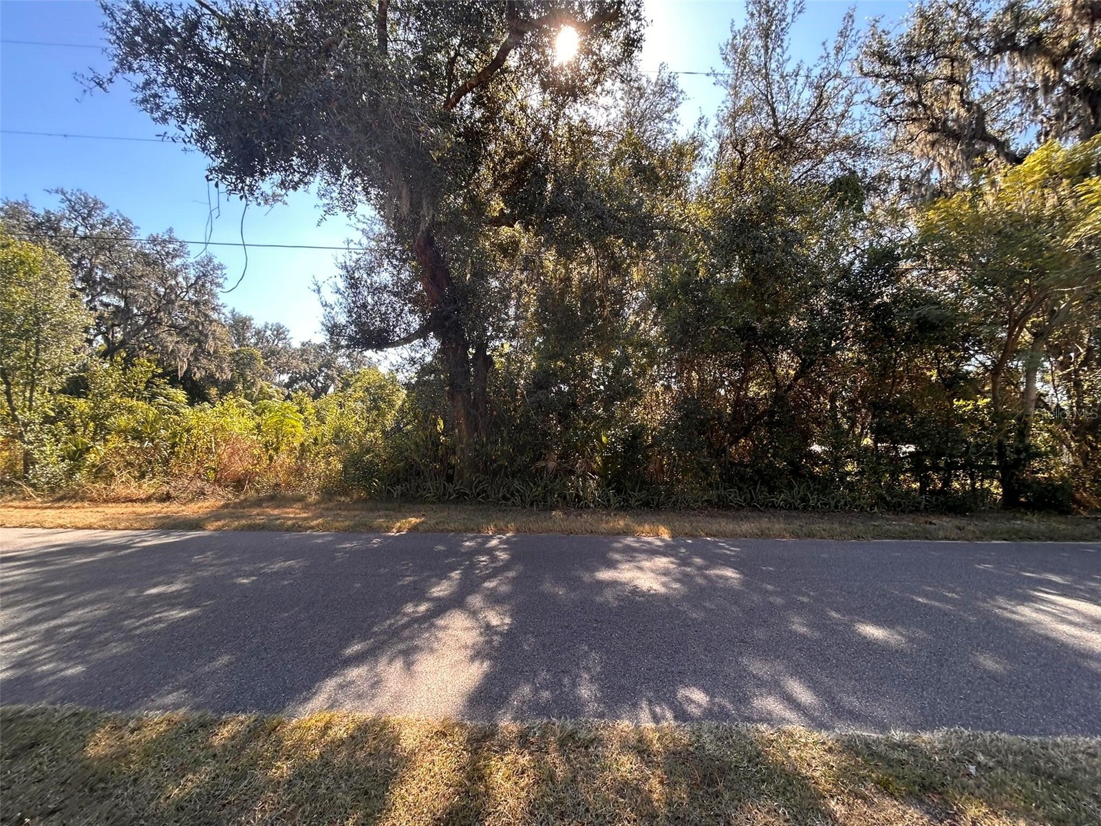 11119 Bessie Dix Road Seffner FL 33584 O6381164 image12