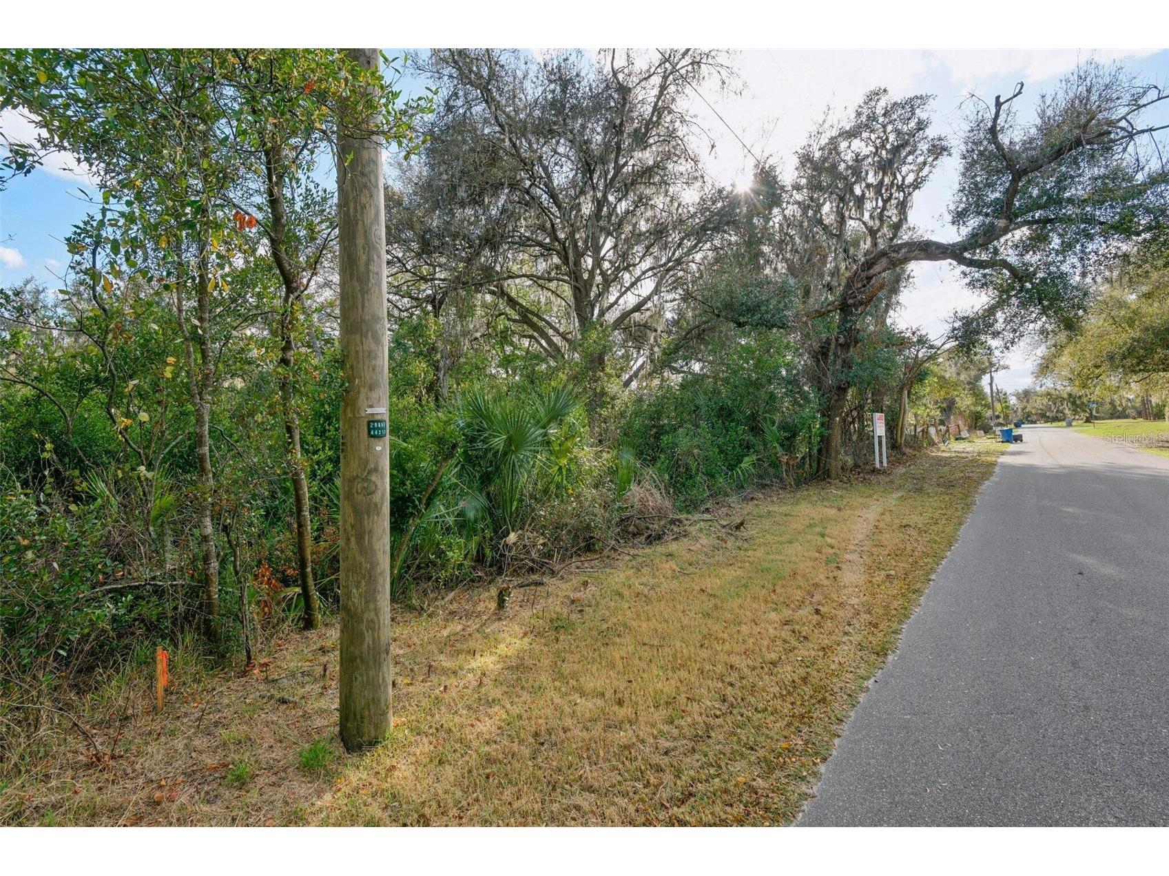 11119 Bessie Dix Road Seffner FL 33584 O6381164 image2