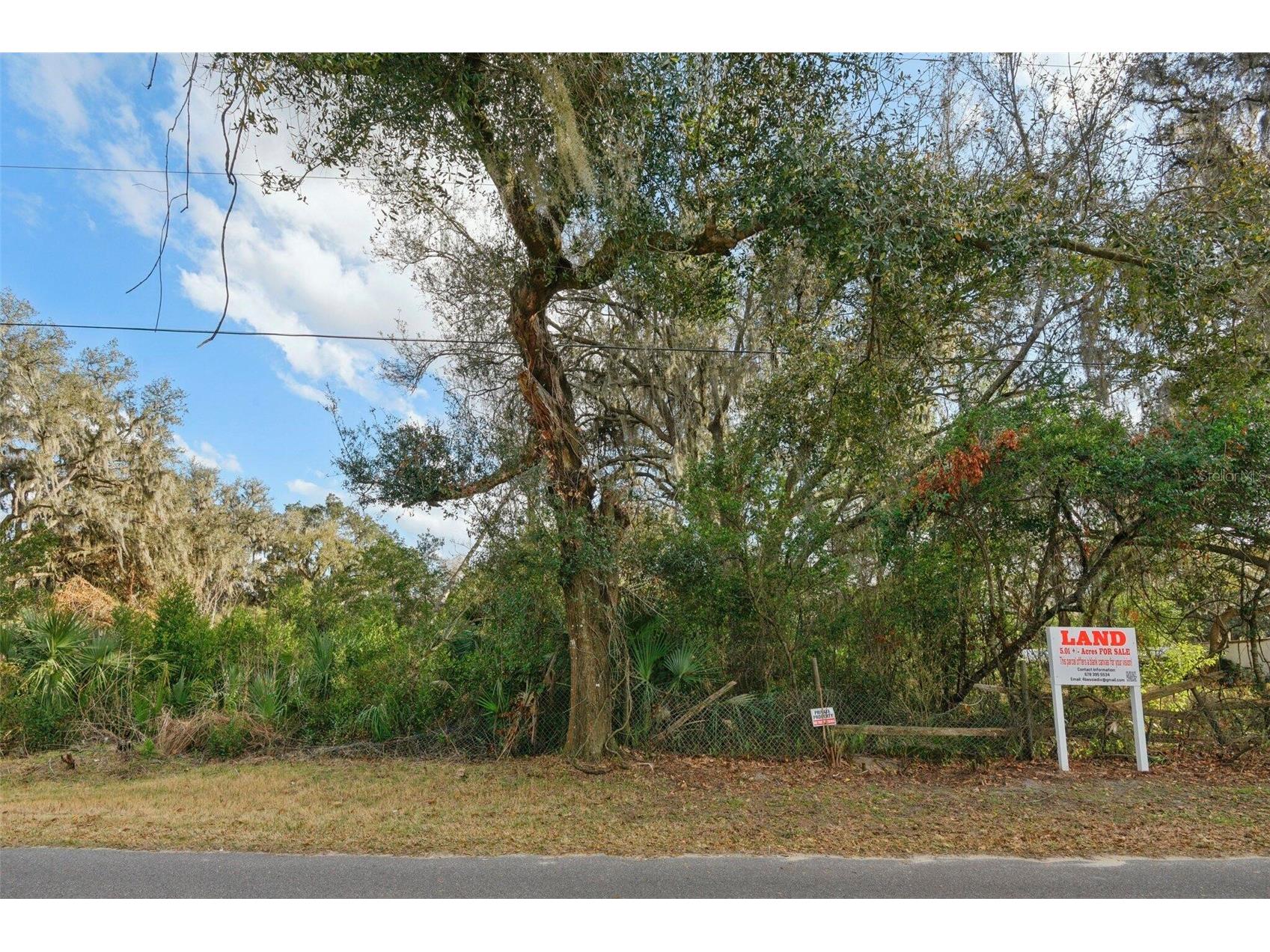 11119 Bessie Dix Road Seffner FL 33584 O6381164 image3