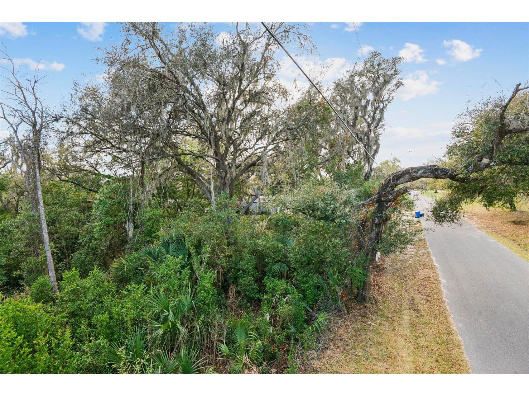 11119 Bessie Dix Road Seffner FL 33584 O6381164 image5