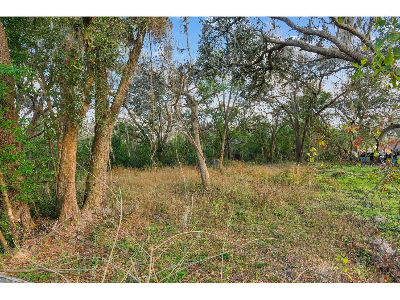 11119 Bessie Dix Road Seffner FL 33584 O6381164 image7