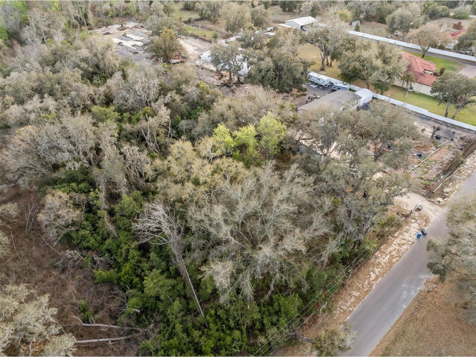 11119 Bessie Dix Road Seffner FL 33584 O6381164 image8