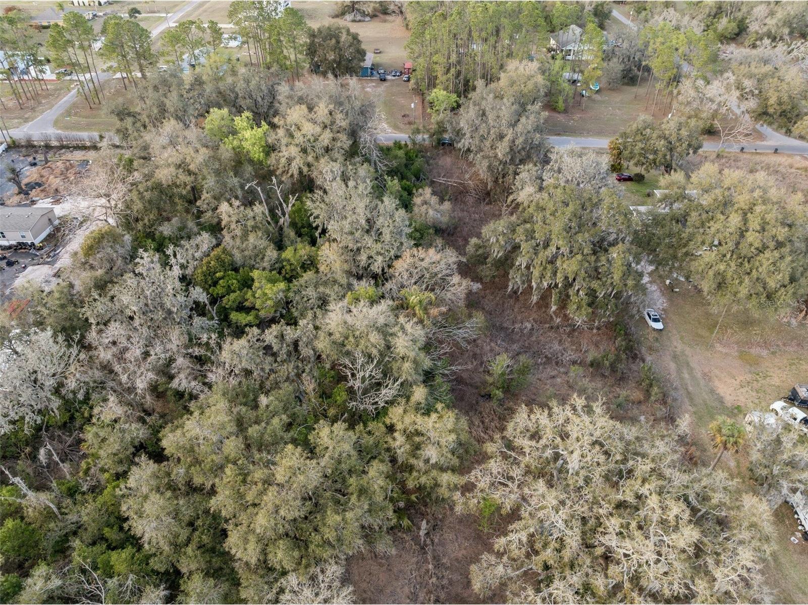 11119 Bessie Dix Road Seffner FL 33584 O6381164 image9