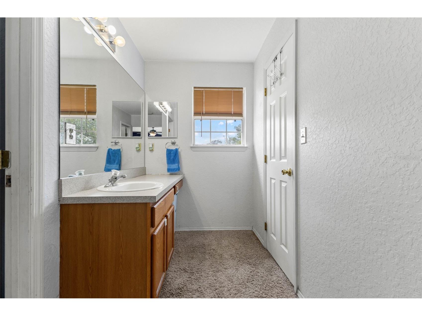 11119 Mahin Lane Riverview FL 33578 TB8490533 image19