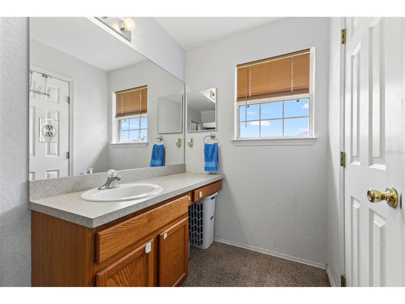 11119 Mahin Lane Riverview FL 33578 TB8490533 image20