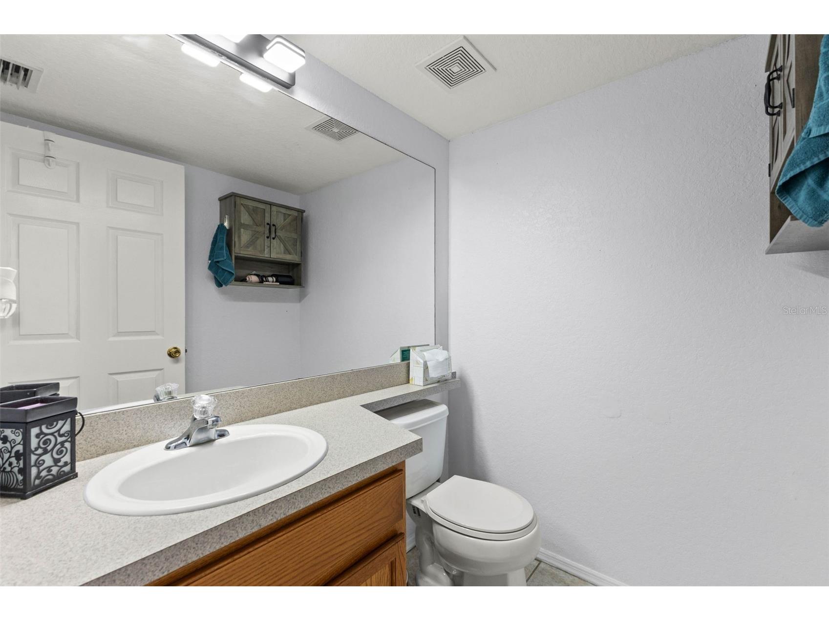 11119 Mahin Lane Riverview FL 33578 TB8490533 image21