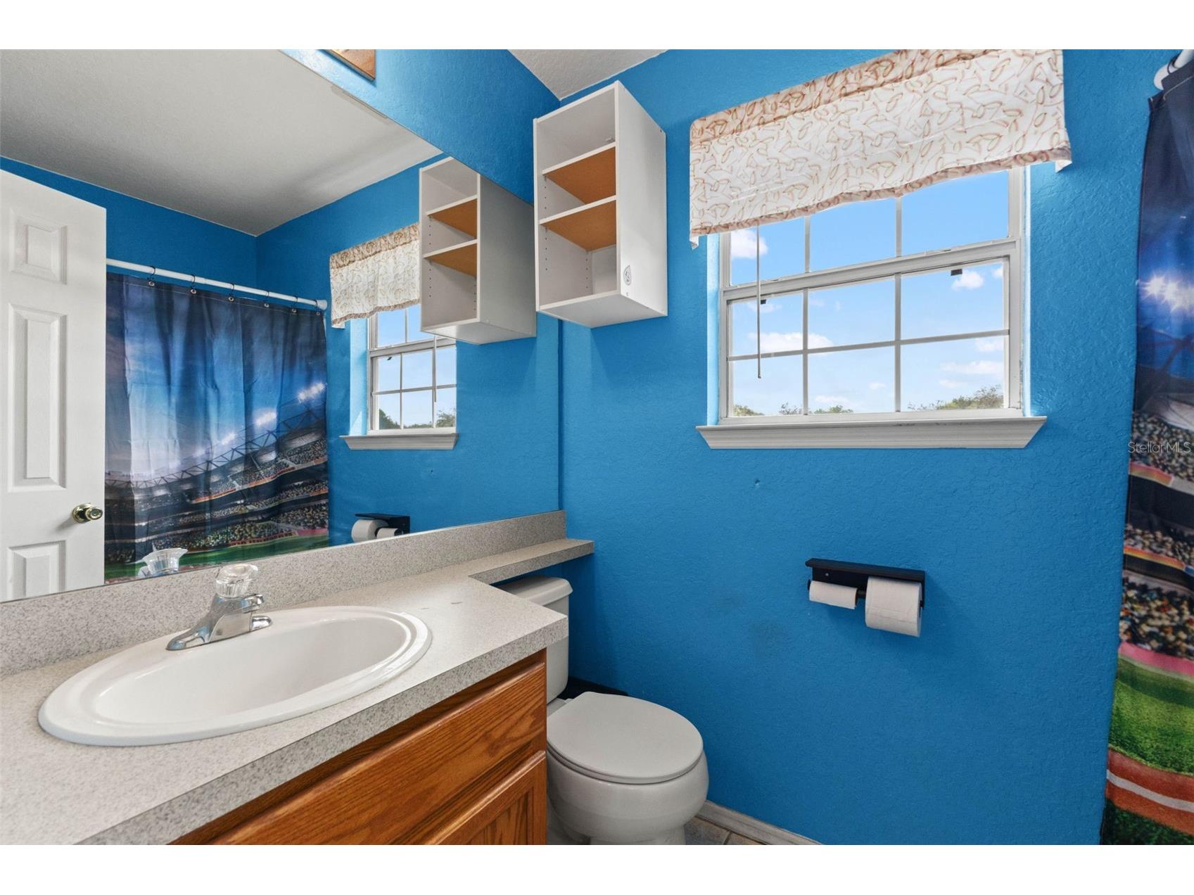 11119 Mahin Lane Riverview FL 33578 TB8490533 image22