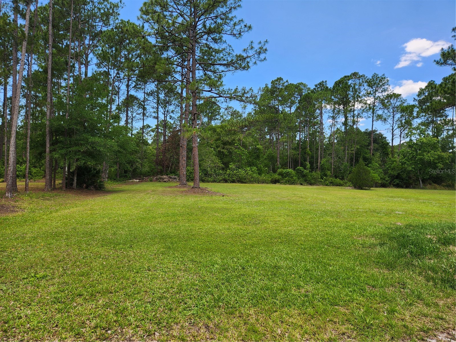 1112 Avocado Boulevard Bunnell FL 32110 FC318584 image3