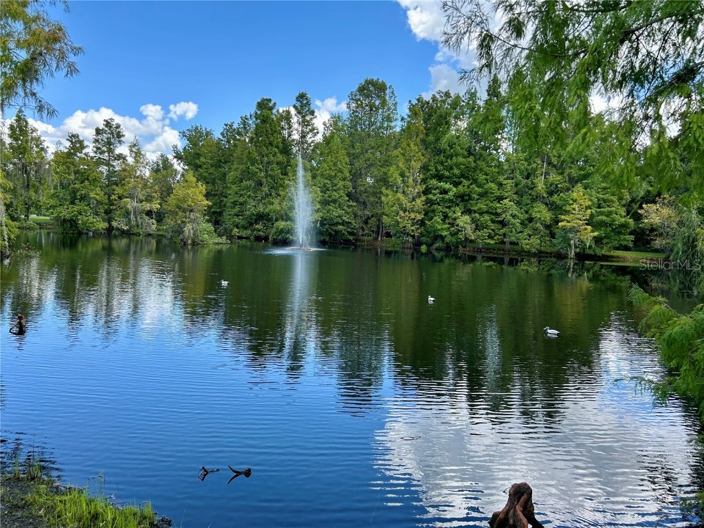 1112 Feather Lane Bowling Green FL 33834 L4955908 image17