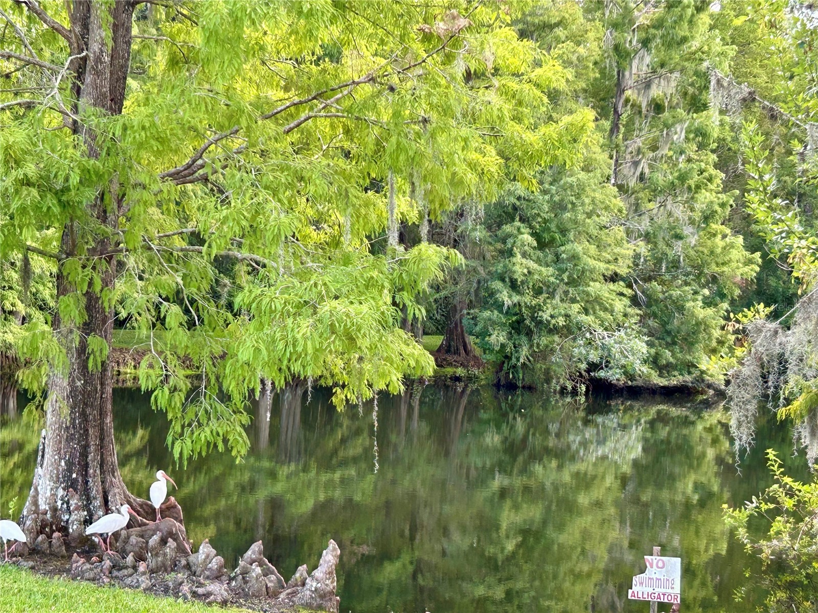 1112 Feather Lane Bowling Green FL 33834 L4955908 image24