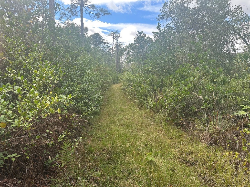 1112 Greenbriar Drive Christmas FL 32709 U8221832 image2