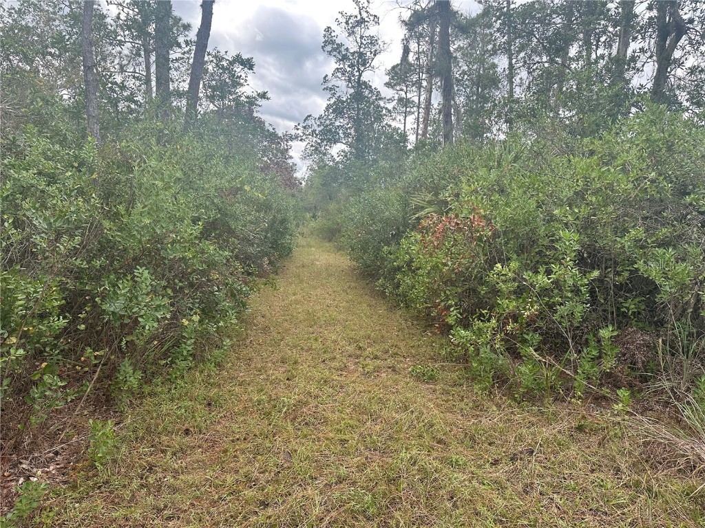 1112 Greenbriar Drive Christmas FL 32709 U8221832 image3