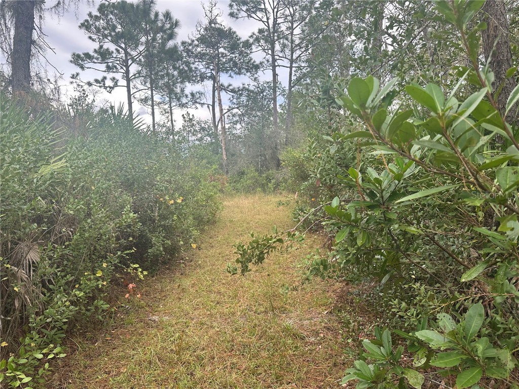 1112 Greenbriar Drive Christmas FL 32709 U8221832 image5