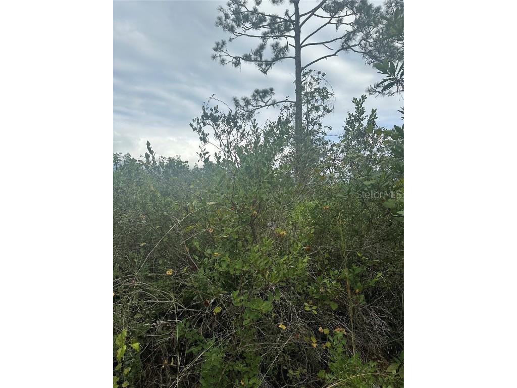 1112 Greenbriar Drive Christmas FL 32709 U8221832 image6