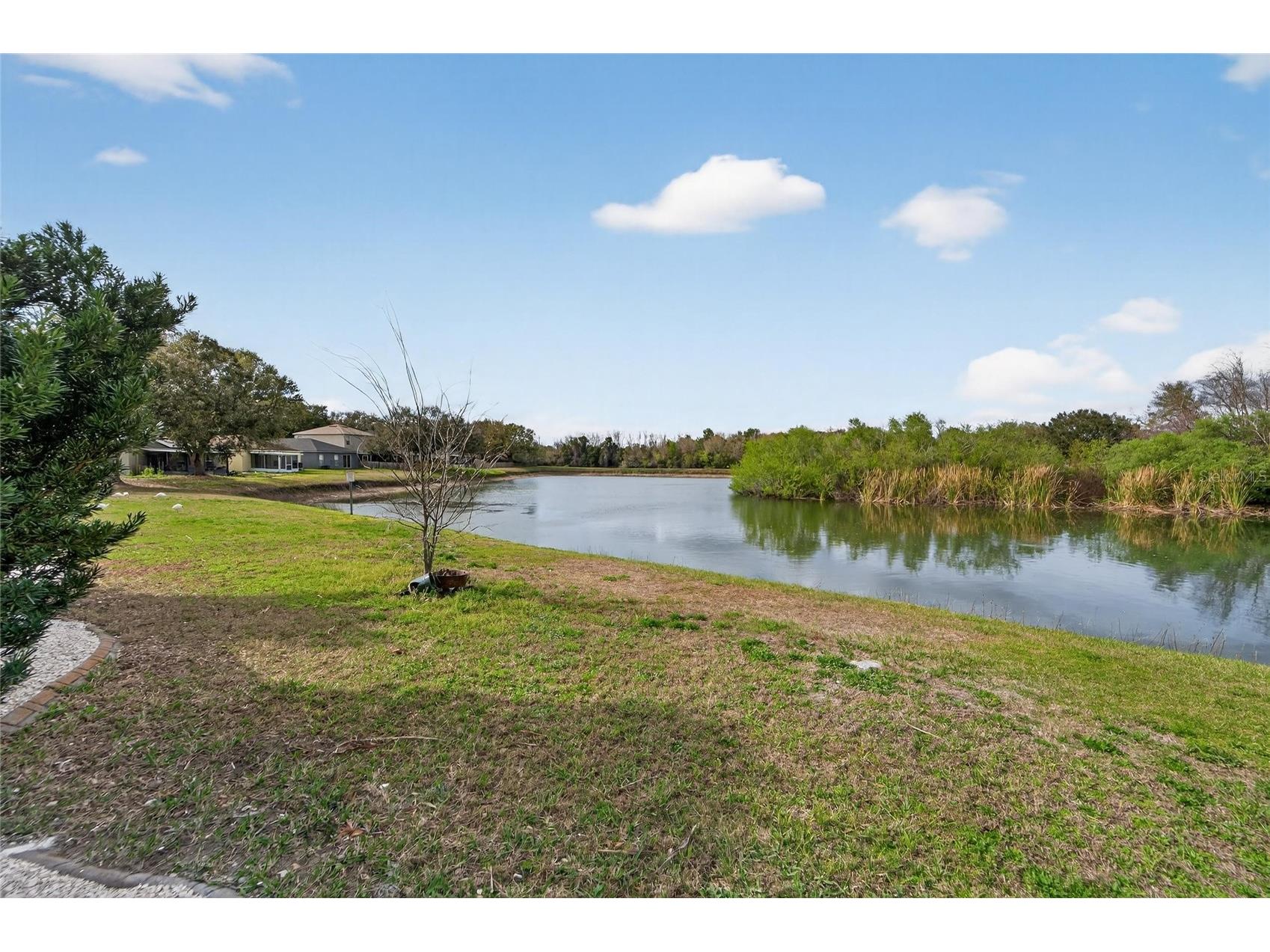 1112 Lake Shore Ranch Drive Seffner FL 33584 TB8483178 image69