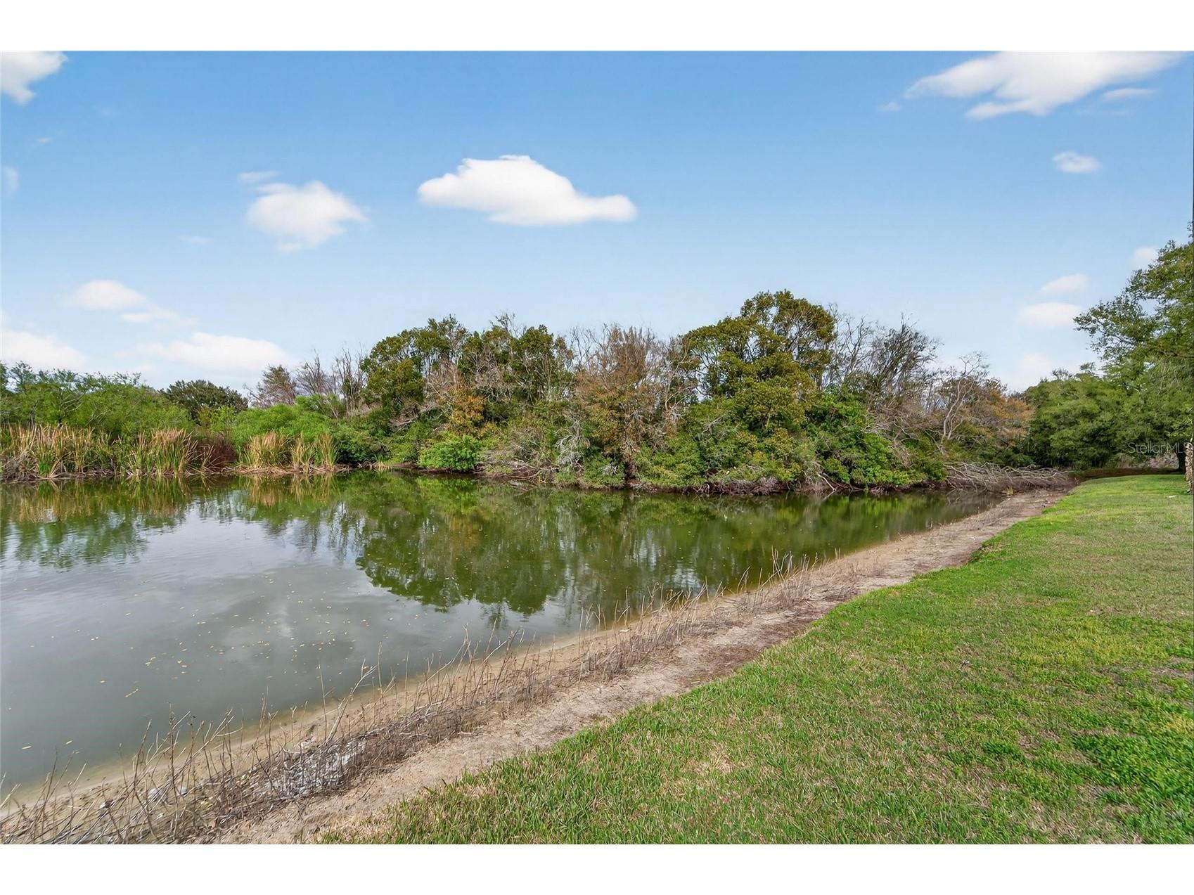 1112 Lake Shore Ranch Drive Seffner FL 33584 TB8483178 image71
