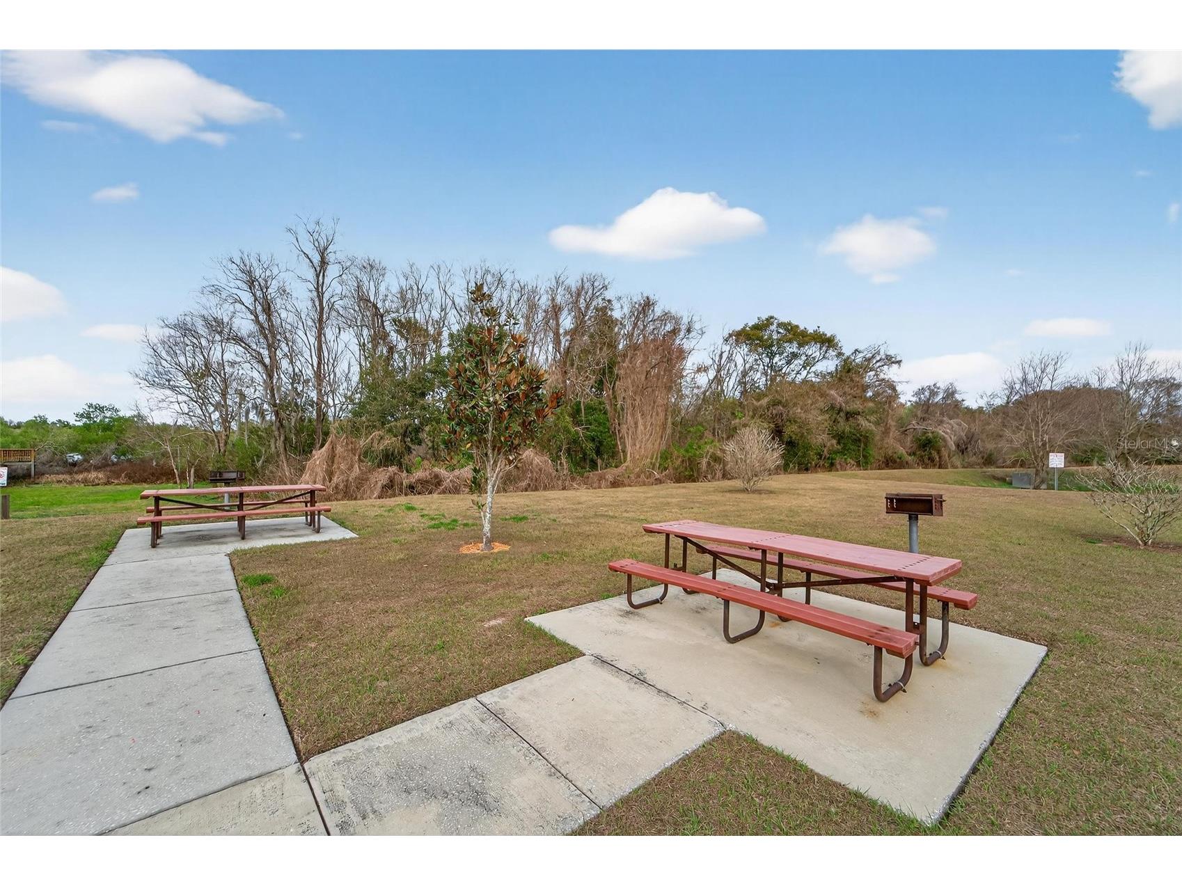1112 Lake Shore Ranch Drive Seffner FL 33584 TB8483178 image77