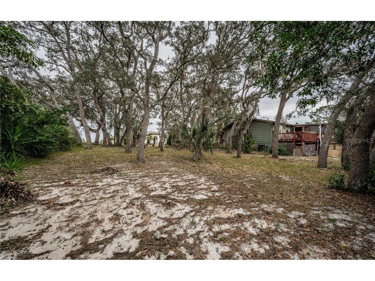 1112 N Florida Avenue Tarpon Springs FL 34688 TB8454260 image29