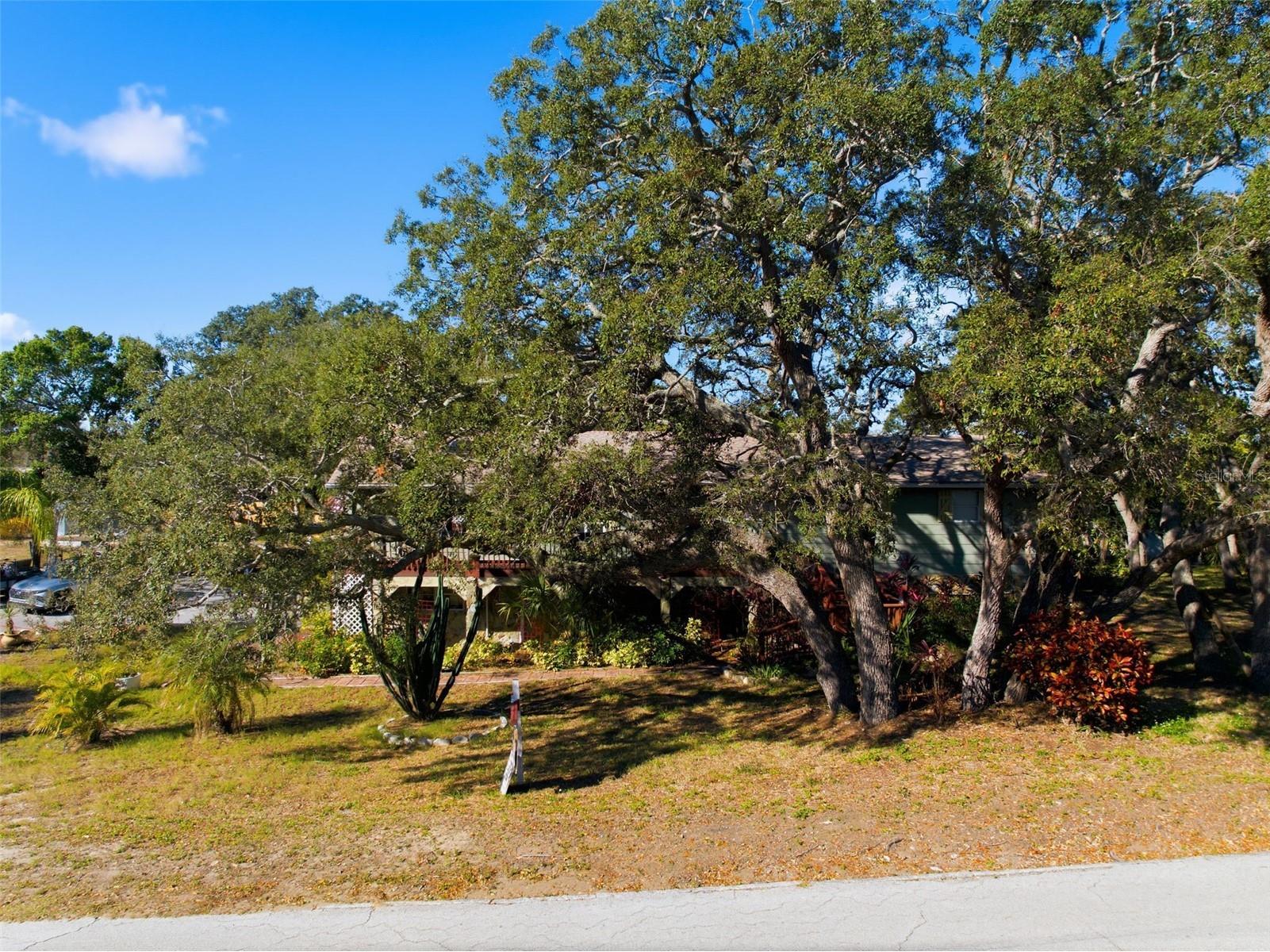 1112 N Florida Avenue Tarpon Springs FL 34689 TB8466840 image54