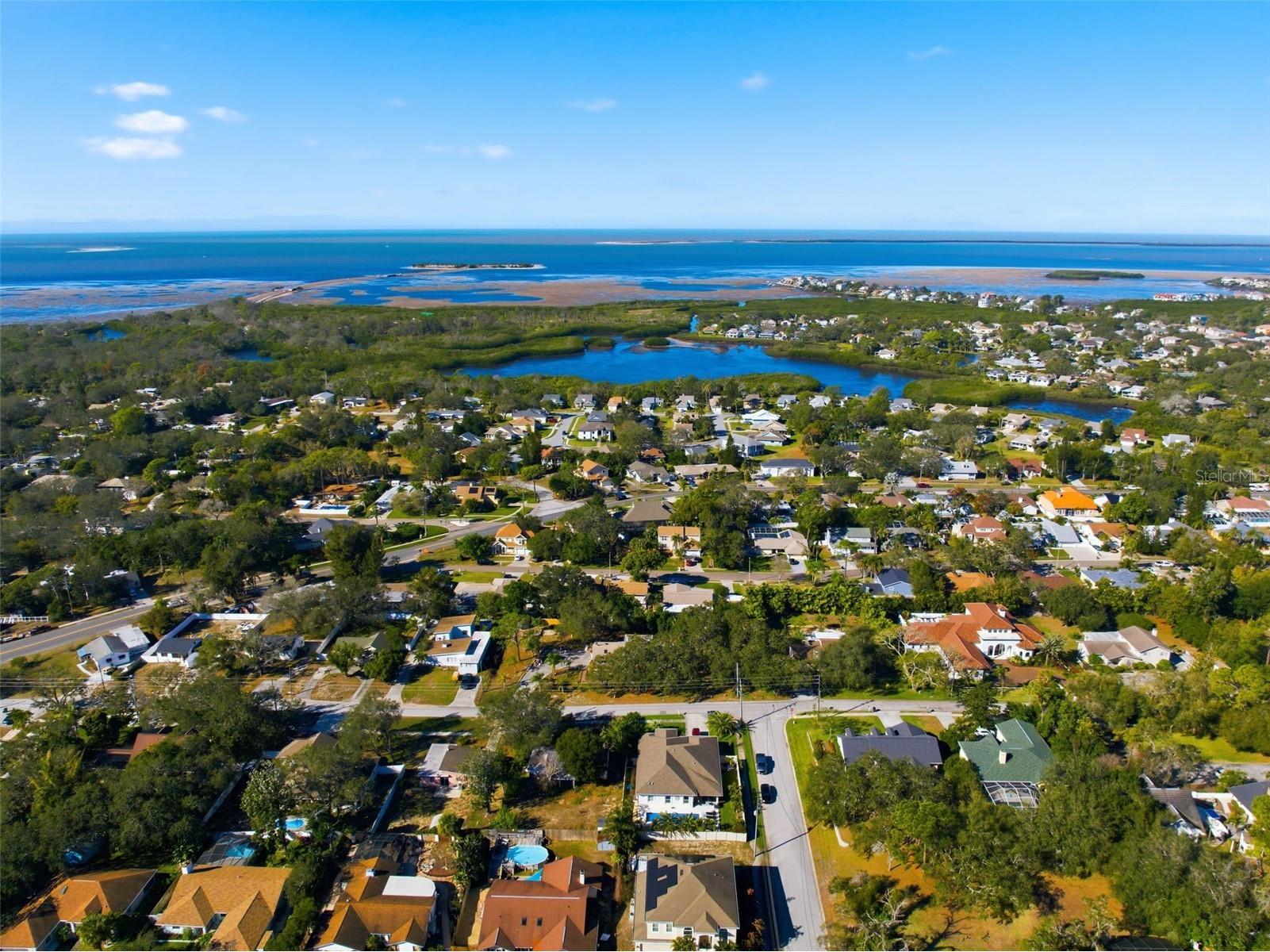 1112 N Florida Avenue Tarpon Springs FL 34689 TB8466840 image62