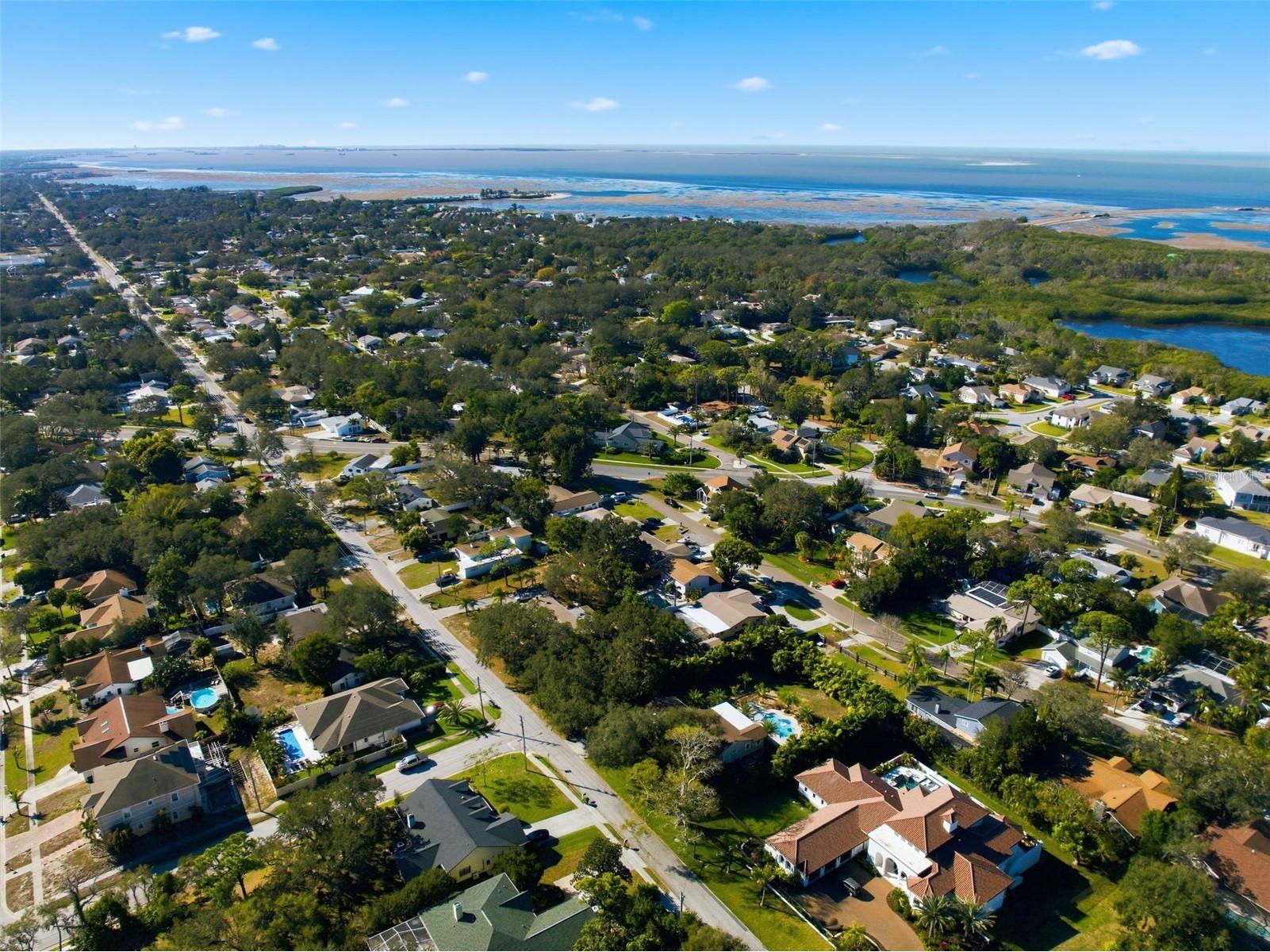 1112 N Florida Avenue Tarpon Springs FL 34689 TB8466840 image64