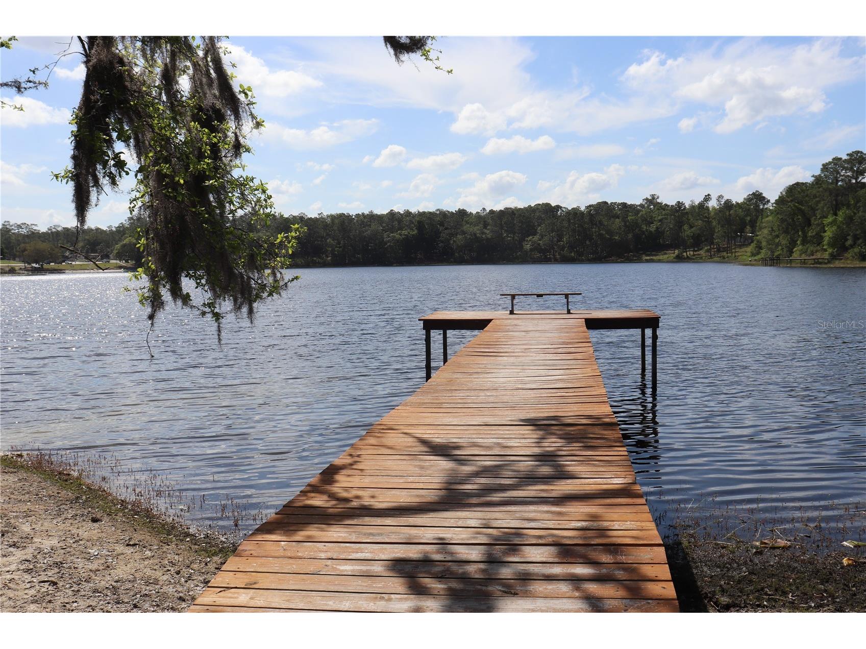 1112 NE 130 Terrace Silver Springs FL 34488 OM722992 image45