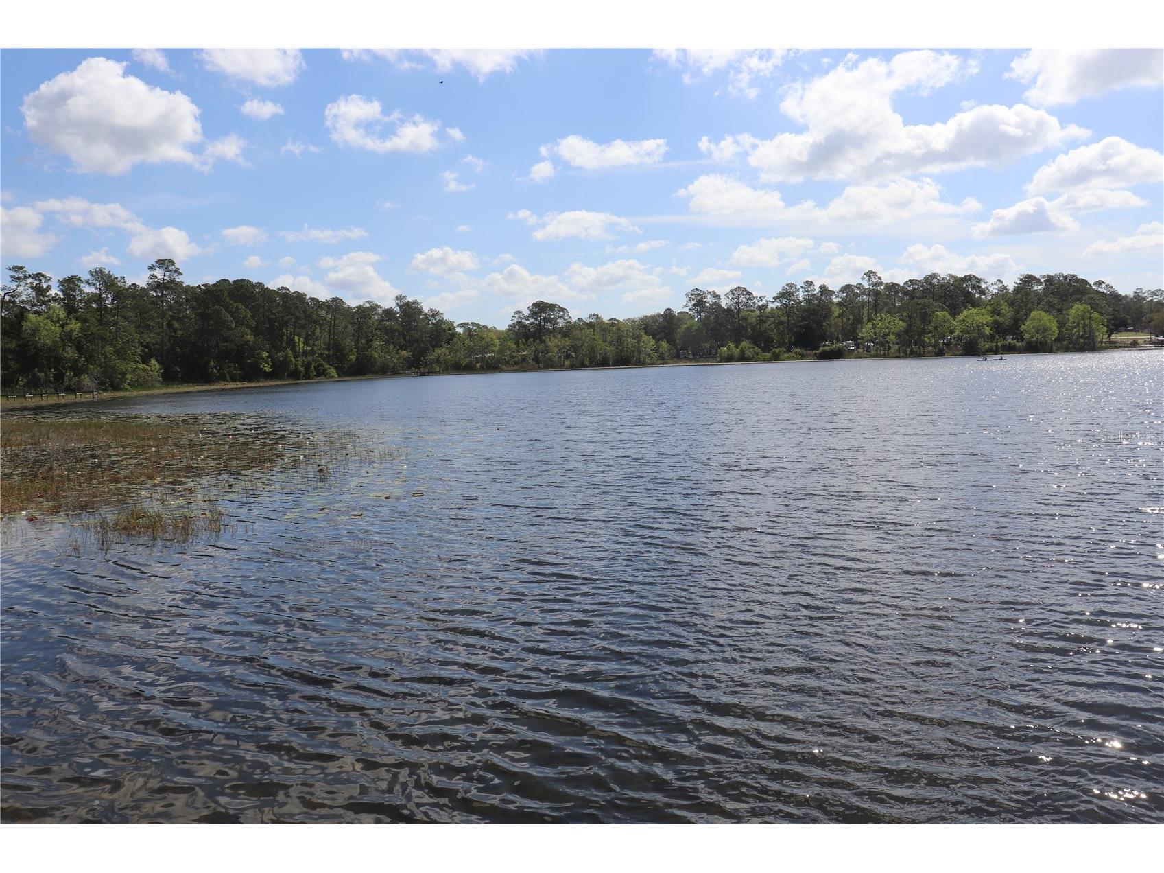1112 NE 130 Terrace Silver Springs FL 34488 OM722992 image46