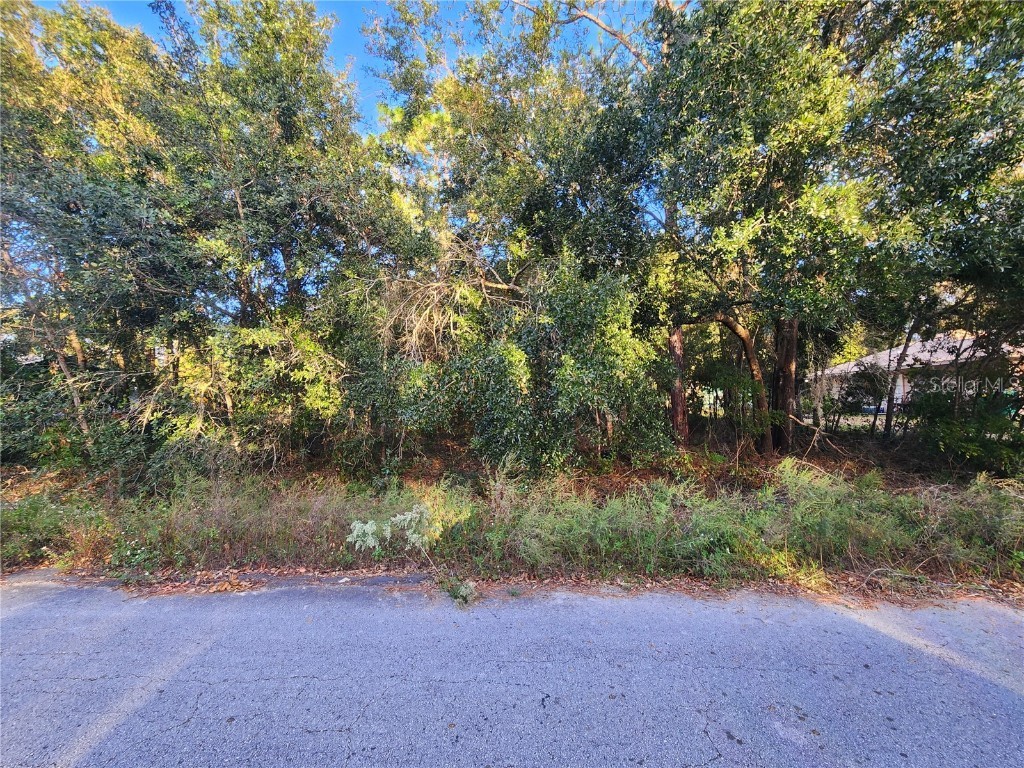 1112 Russell Avenue Inverness FL 34453 OM688014 image1