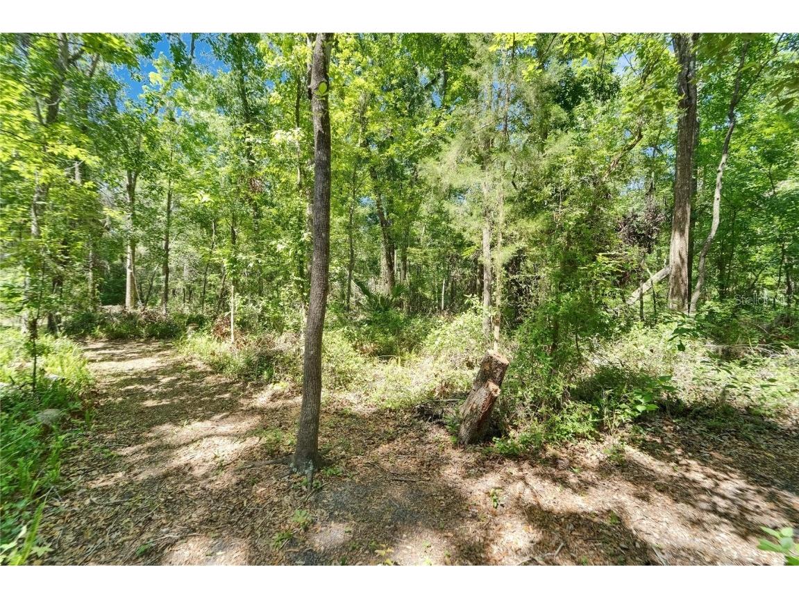 11120 Lu Wista Lane Brooksville FL 34601 TB8382668 image46