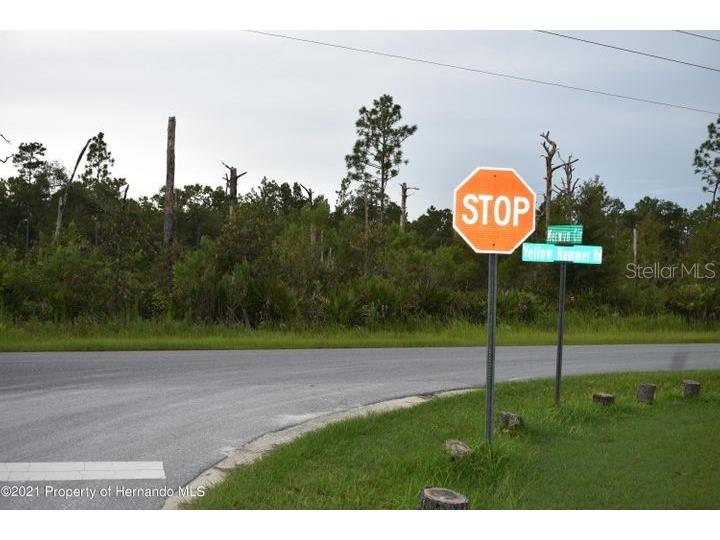 11120 Yellow Hammer Road Weeki Wachee FL 34614 U8145888 image1