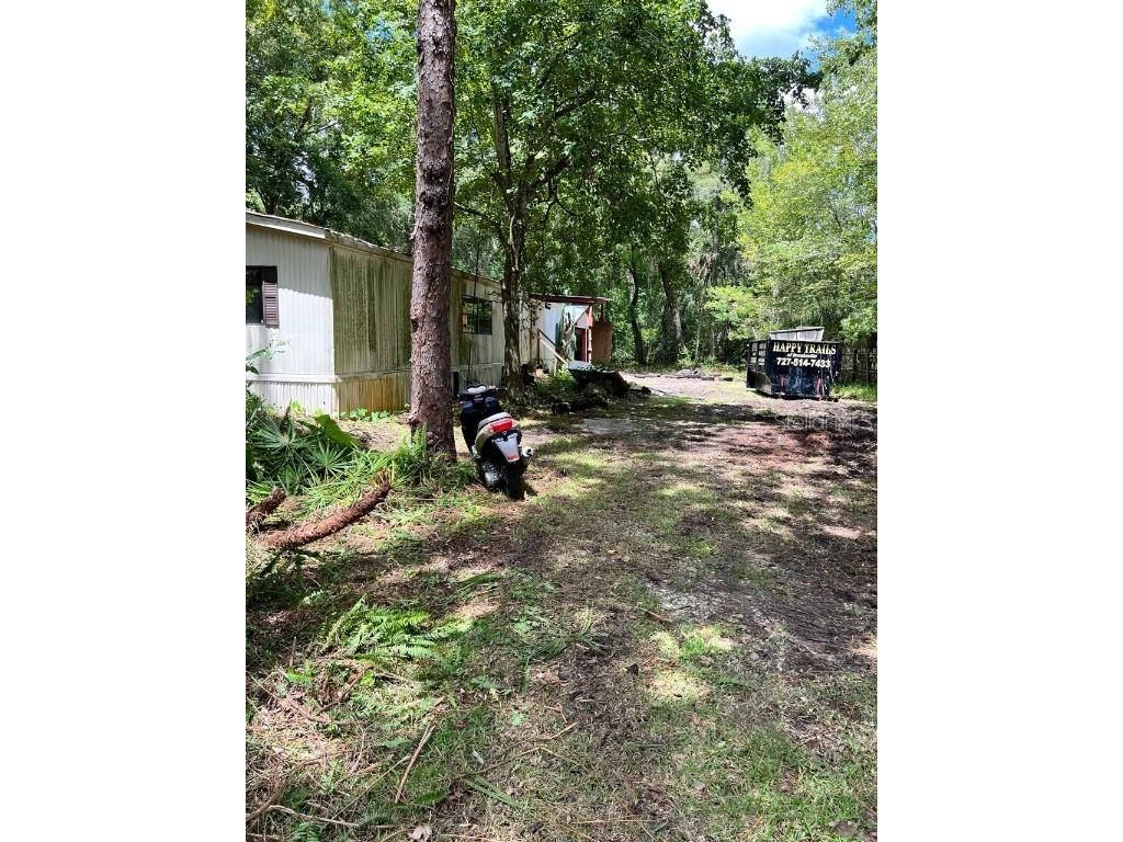 11121 Calumet Drive New Port Richey FL 34654 T3468759 image1