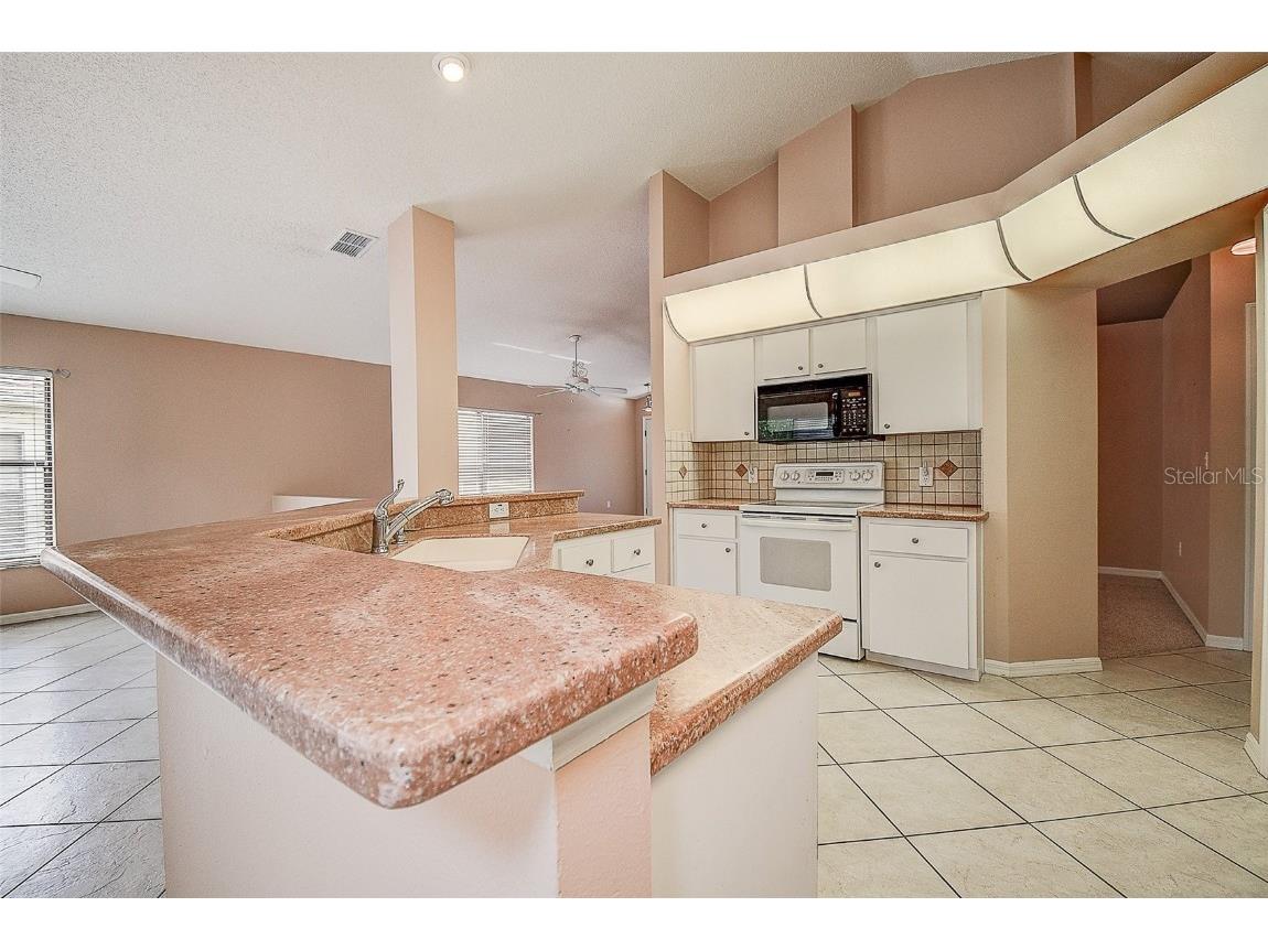 11121 Cherrywood Court Spring Hill FL 34609 TB8392384 image10