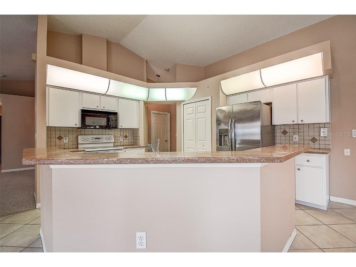 11121 Cherrywood Court Spring Hill FL 34609 TB8392384 image11