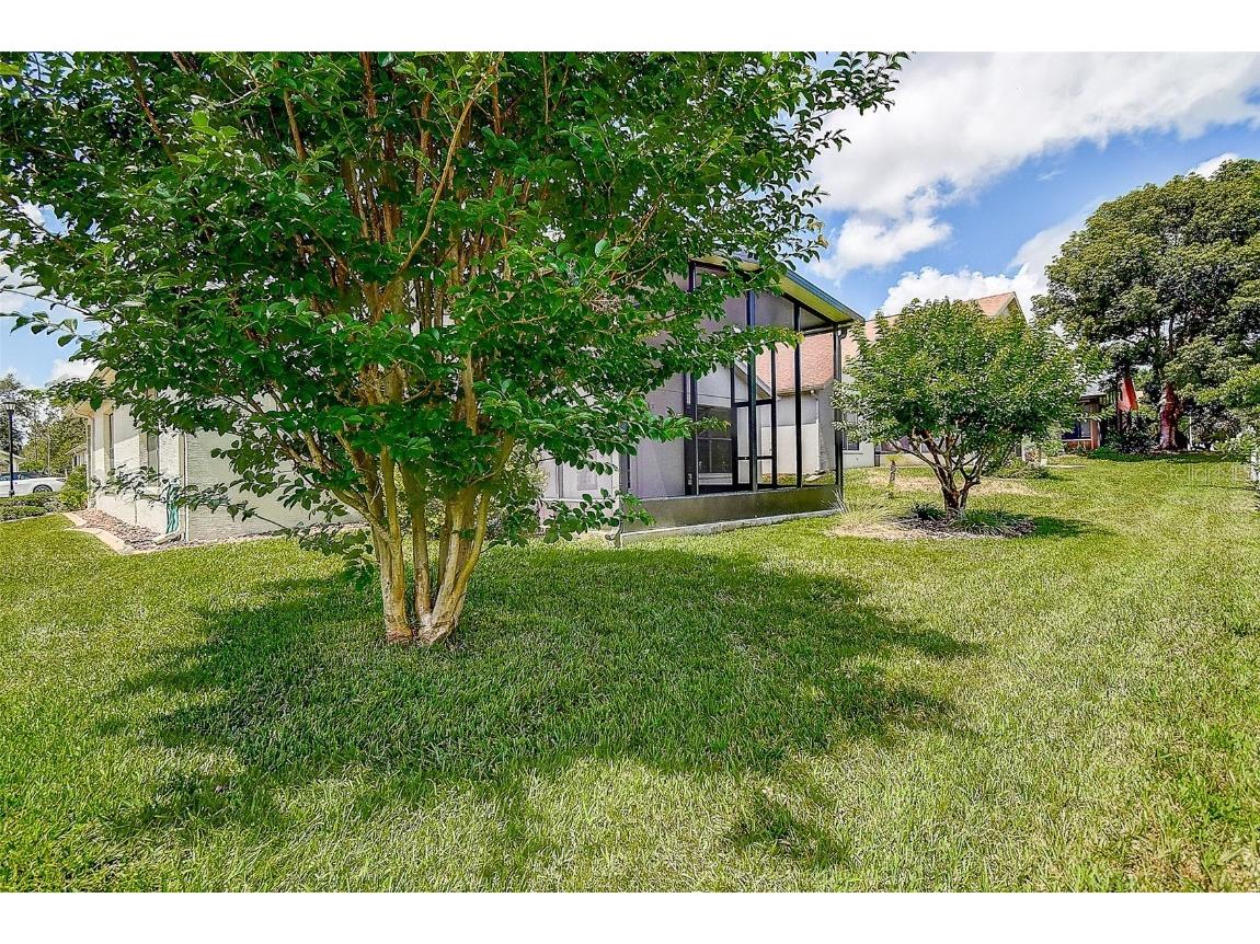 11121 Cherrywood Court Spring Hill FL 34609 TB8392384 image27