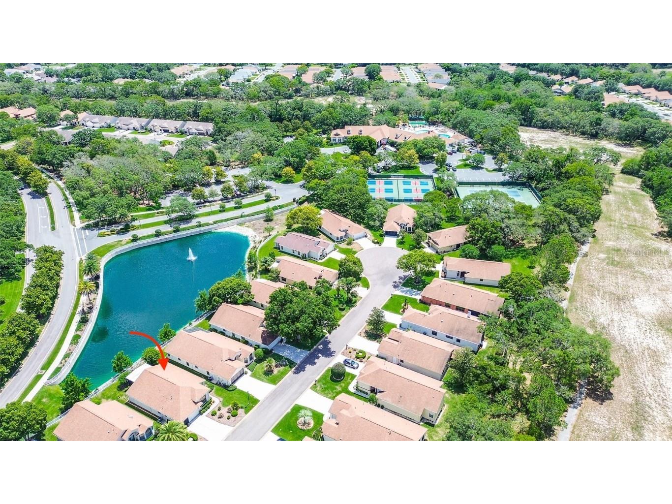 11121 Cherrywood Court Spring Hill FL 34609 TB8392384 image3