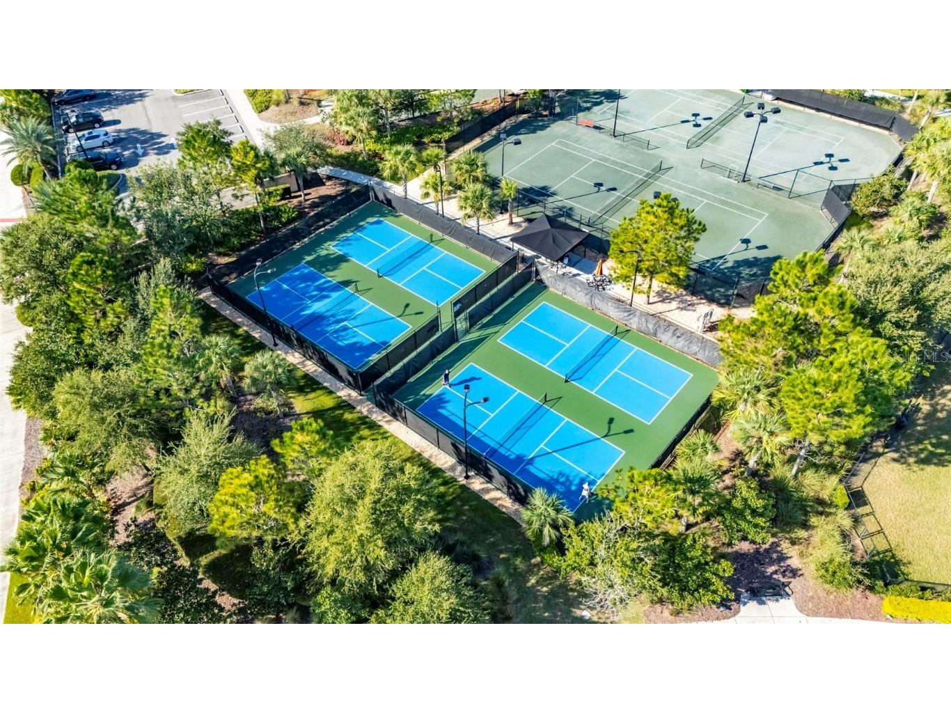 11121 Egeria Drive Odessa FL 33556 TB8438313 image4