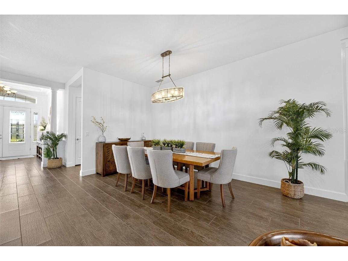 11121 Egeria Drive Odessa FL 33556 TB8438313 image42