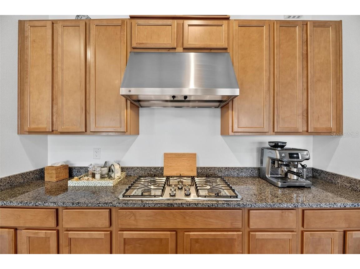 11121 Egeria Drive Odessa FL 33556 TB8438313 image47