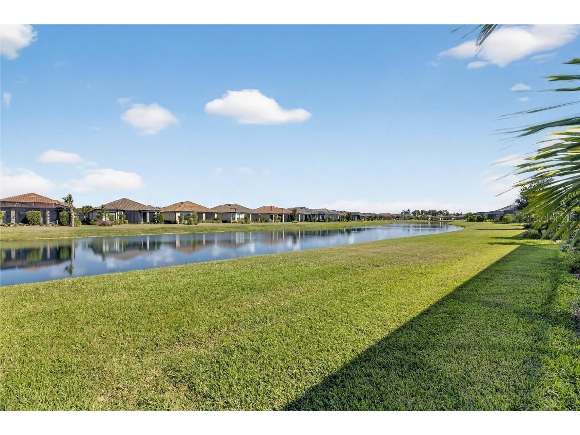 11121 Egeria Drive Odessa FL 33556 TB8438313 image70