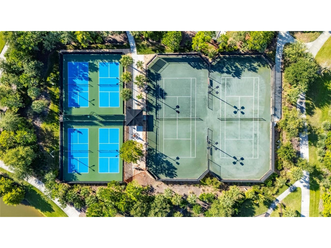 11121 Egeria Drive Odessa FL 33556 TB8438313 image77