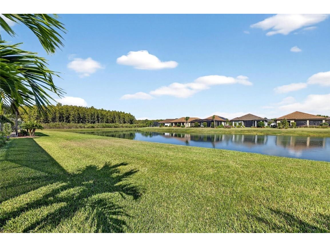 11121 Egeria Drive Odessa FL 33556 TB8438313 image8