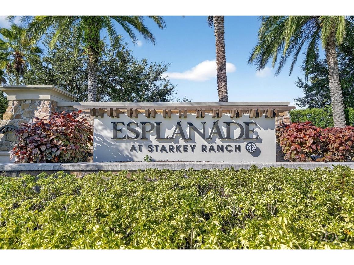 11121 Egeria Drive Odessa FL 33556 TB8438313 image9