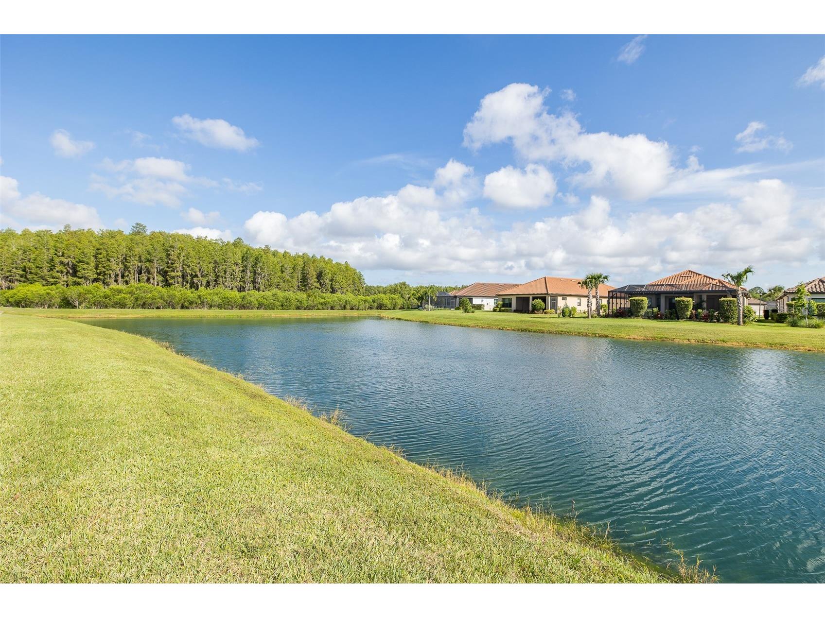 11121 Egeria Drive Odessa FL 33556 W7886916 image59