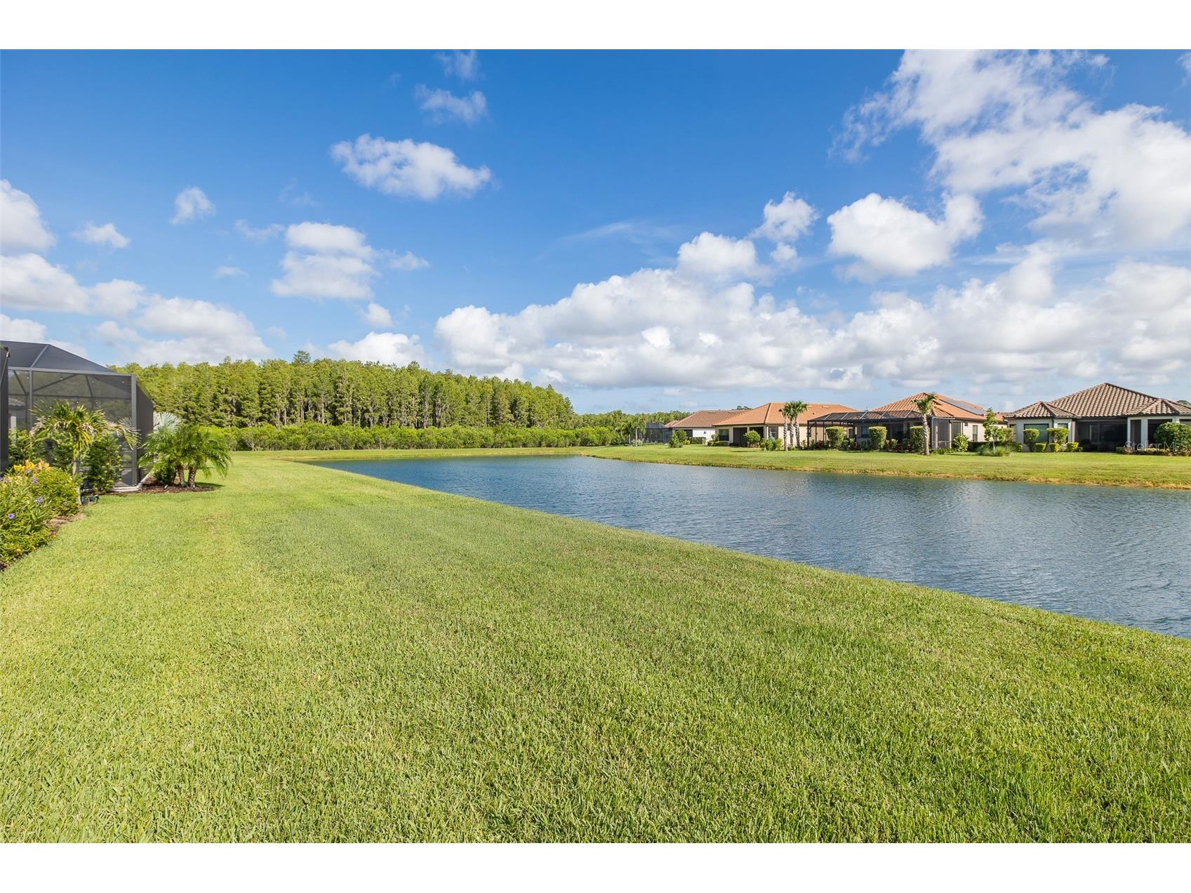 11121 Egeria Drive Odessa FL 33556 W7886916 image65