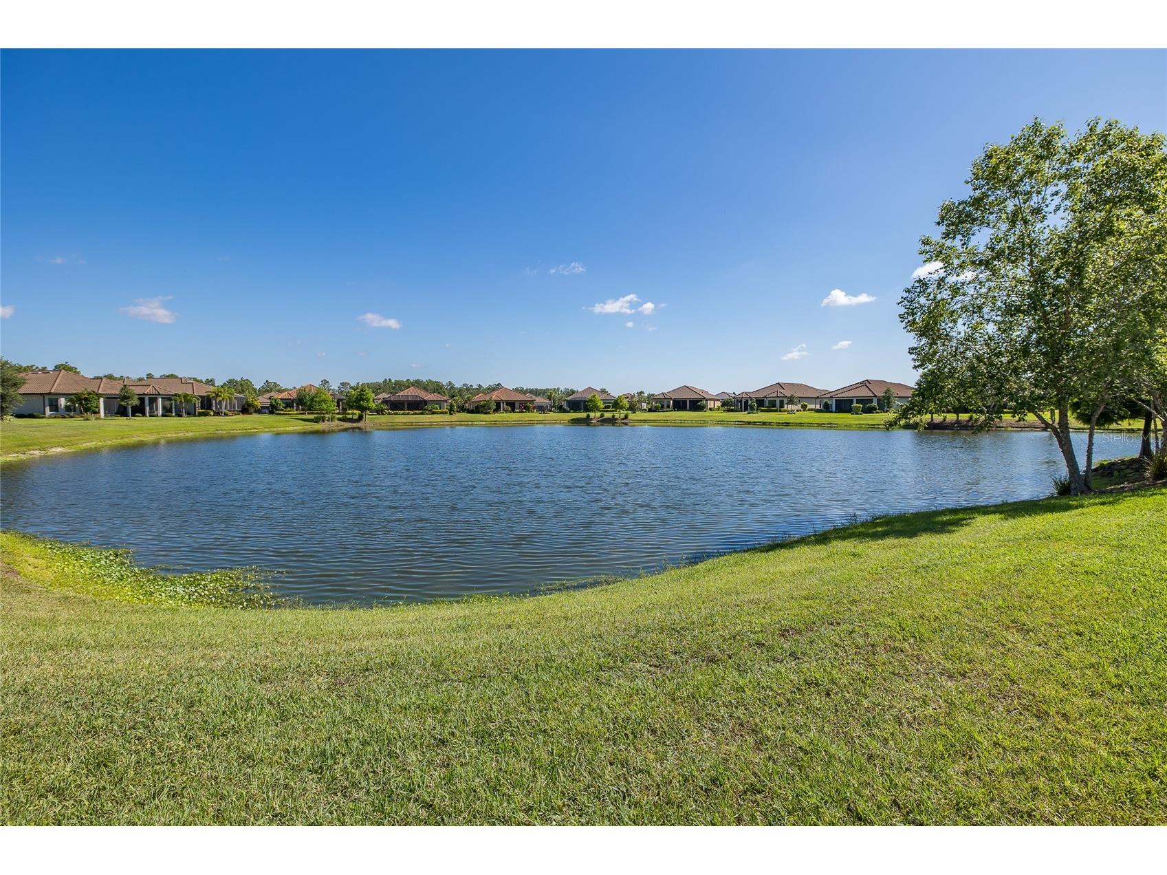 11121 Egeria Drive Odessa FL 33556 W7886916 image82