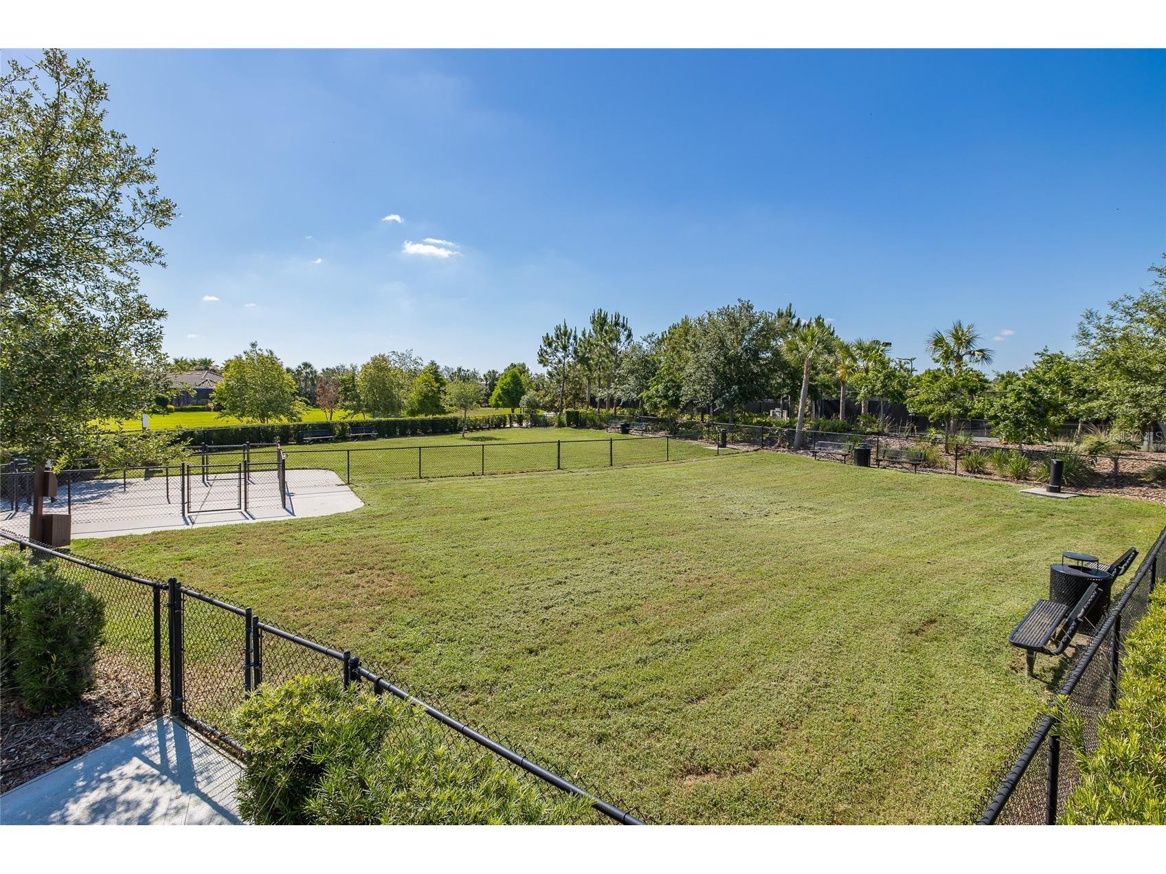 11121 Egeria Drive Odessa FL 33556 W7886916 image83