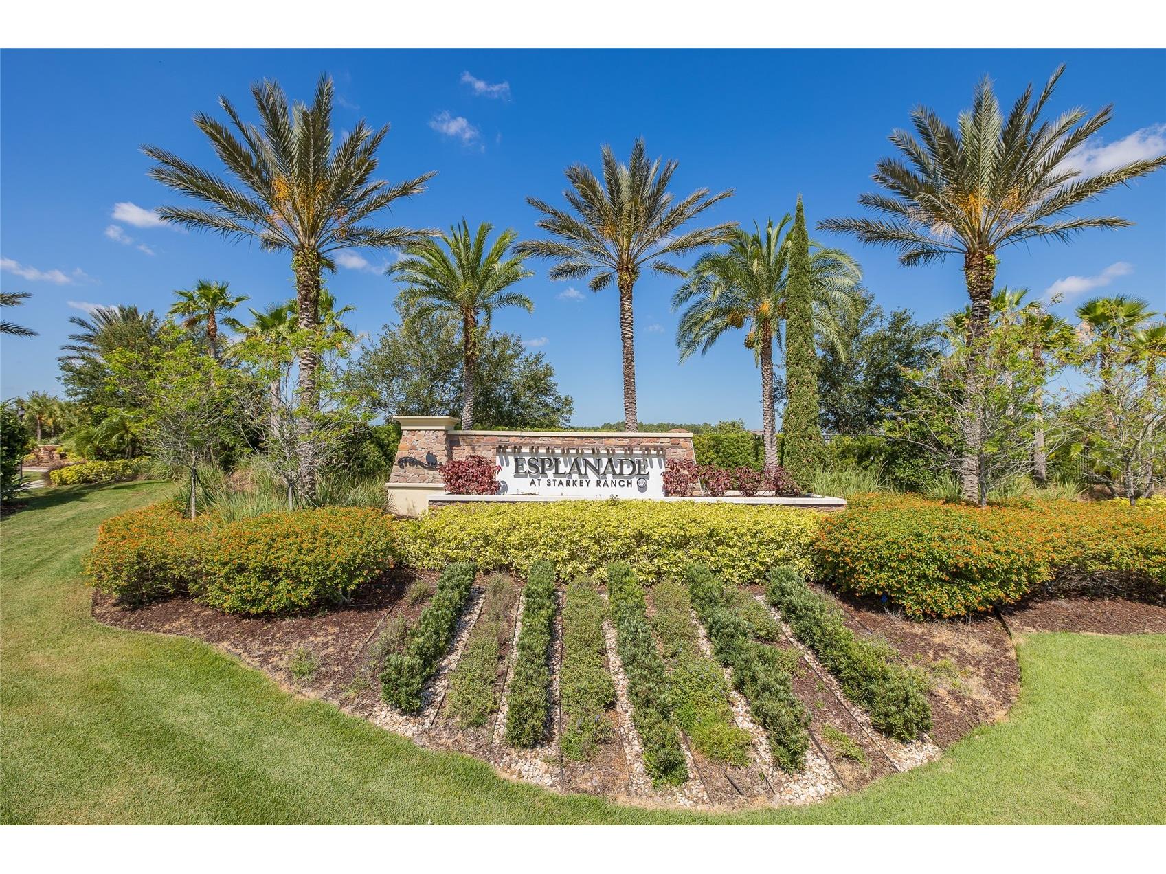 11121 Egeria Drive Odessa FL 33556 W7886916 image85